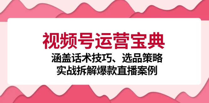 视频号运营宝典：涵盖话术技巧、选品策略、实战拆解爆款直播案例-搞钱利器