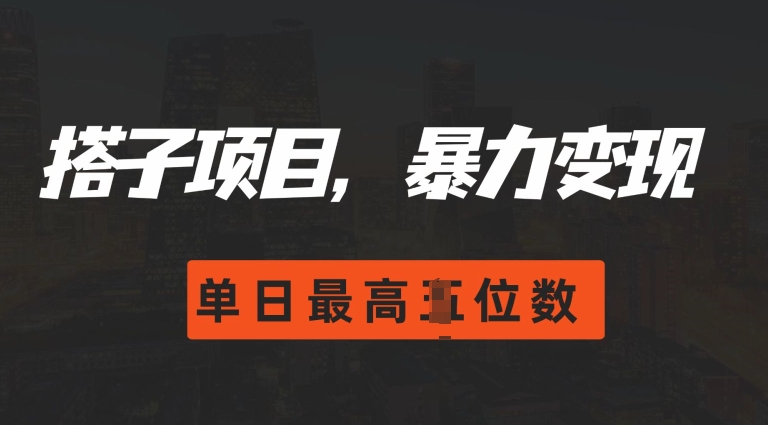2024搭子玩法，0门槛，暴力变现，单日最高破四位数【揭秘】-搞钱利器