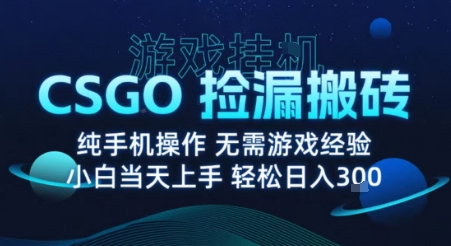 8月最新游戏搬砖，CSGO纯挂G，不需要玩游戏，实现真挂G，月入1W+【揭秘】-搞钱利器