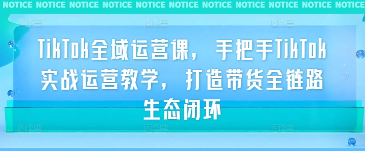 TikTok全域运营课，手把手TikTok实战运营教学，打造带货全链路生态闭环-搞钱利器