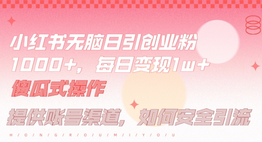 小红书无脑每日引流创业粉500+，小白每天只花半小时，躺赚长尾收益【揭秘】-搞钱利器