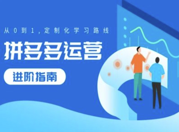 拼多多运营进阶指南，从0到1定制化学习路线-搞钱利器