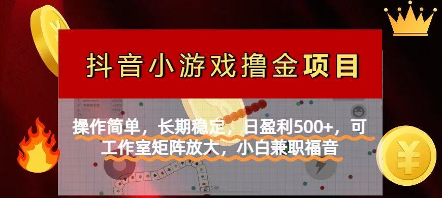 【抖音小游戏发行人计划项目】操作简单，长期稳定，日盈利500+，可工作…-搞钱利器