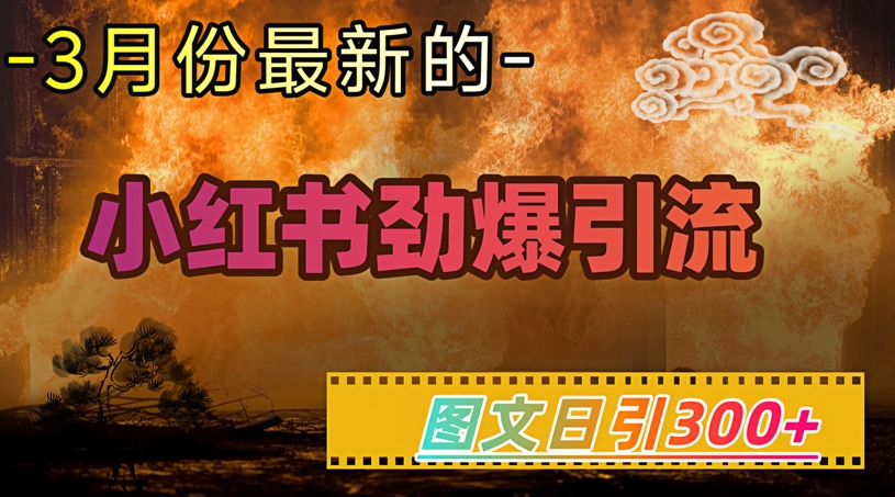 小红书超劲爆引流手段，图文日引300+轻松变现1W-搞钱利器