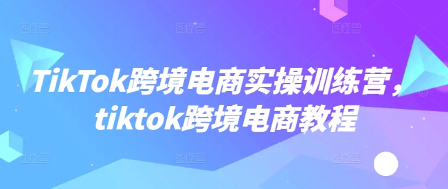 TikTok跨境电商实操训练营，tiktok跨境电商教程-搞钱利器