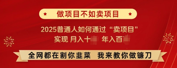 必看，做项目不如卖项目，2025普通人如何通过“卖项目”实现月入十个，年入百个-搞钱利器