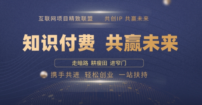 别人苦寻无果，为何他们靠知识付费卖项目 2025 年轻松年入100个?【揭秘】-搞钱利器