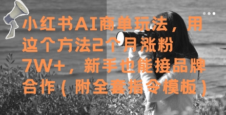 小红书AI商单玩法，用这个方法2个月涨粉7W+，新手也能接品牌合作(附全套指令模板)-搞钱利器