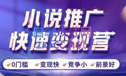 洲洲老师·小说推广快速变现营-搞钱利器