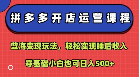 拼多多开店运营课程：蓝海变现玩法，轻松实现睡后收入，零基础小白也可日入5张-搞钱利器