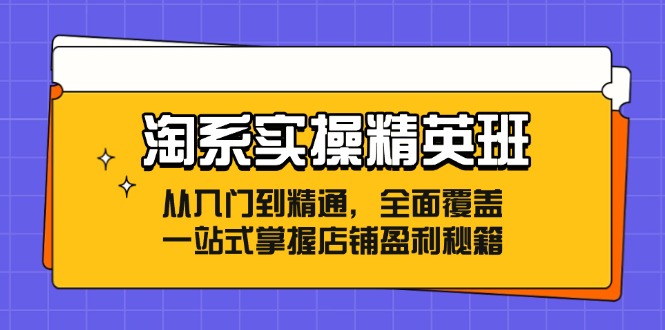 淘系实操精英班：从入门到精通，全面覆盖，一站式掌握店铺盈利秘籍-搞钱利器