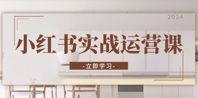 小红书实战运营课：从开通店铺到直播话术，打造爆款笔记与高效直播-搞钱利器