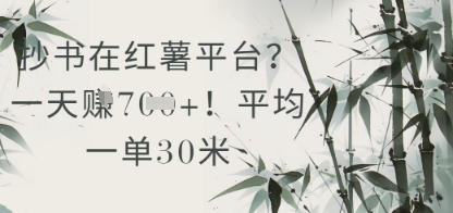 抄书在小红薯平台？平均一单30米，一天收益几张！-搞钱利器