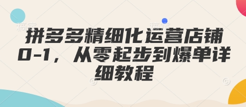 拼多多精细化运营店铺0-1，从零起步到爆单详细教程-搞钱利器