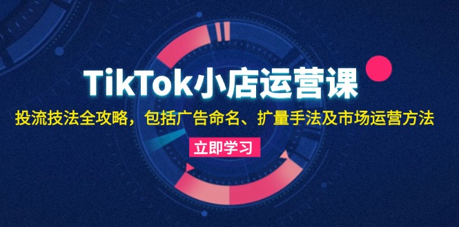 TikTok小店运营课：投流技法全攻略，包括广告命名 扩量手法及市场运营方法-搞钱利器