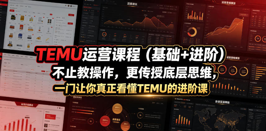 TEMU运营课程(基础+进阶)，不止教操作，更传授底层思维，一门让你真正看懂TEMU的进阶课-搞钱利器
