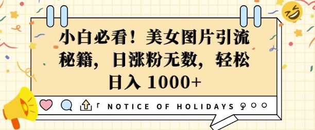 小白必看，美女图片引流秘籍，日涨粉无数，轻松日入几张【揭秘】-搞钱利器