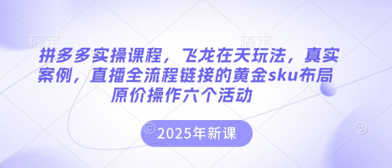 拼多多实操课程，飞龙在天玩法，真实案例，直播全流程链接的黄金sku布局原价操作六个活动-搞钱利器