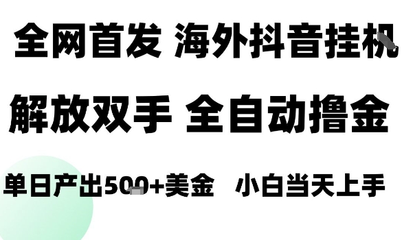 海外抖音无人直播，单日产出1.5k+，长期稳定，新手可玩，无脑操作【揭秘】-搞钱利器