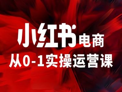 小红书电商从0-1实操运营课，让你从小白到精英-搞钱利器