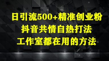 日引流500+精准创业粉，抖音共情自热打法，工作室都在用的方法-搞钱利器