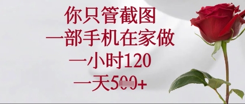 你只管截图，一部手机在家操作，一小时120.一天5张【揭秘】-搞钱利器