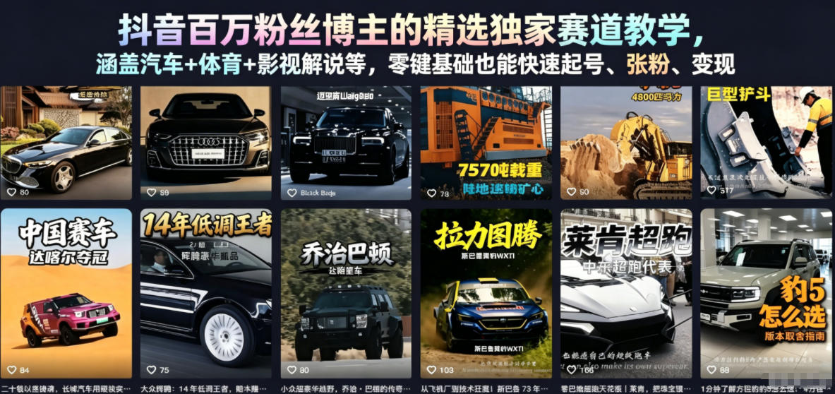 抖音百万粉丝博主的精选独家赛道教学,涵盖汽车+体育+影视解说等,零基础也能快速起号、涨粉、变现(更新0701)-搞钱利器