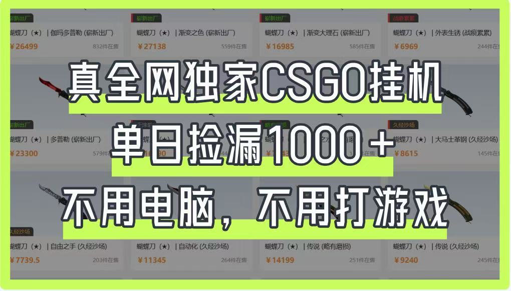真全网独家CSGO挂机，单日捡漏1000+，不用电脑，不用养号-搞钱利器