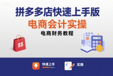 拼多多店快速上手版电商会计实操-电商财务教程-搞钱利器