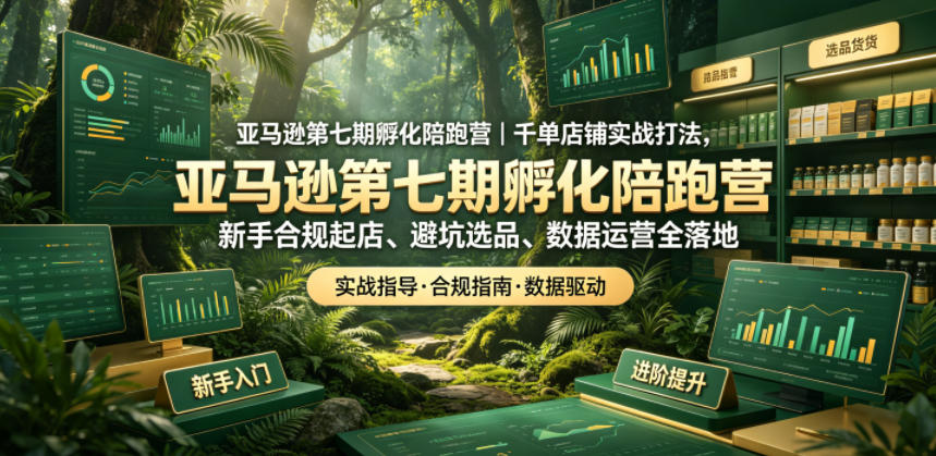 亚马逊第七期孵化陪跑营｜千单店铺实战打法，新手合规起店、避坑选品、数据运营全落地(更新0625)-搞钱利器
