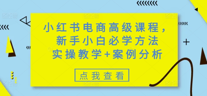 小红书电商高级课程，新手小白必学方法，实操教学+案例分析-搞钱利器