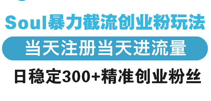 Soul暴力截流创业粉玩法，当天注册当天进流量，日稳定300+精准创业粉丝-搞钱利器