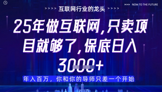 什么！25年你还在找项目做？风口早就变了，卖项目才是稳挣不赔【揭秘】-搞钱利器