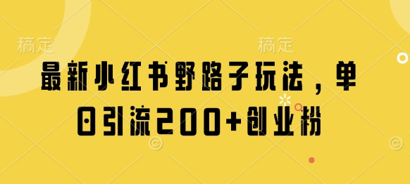 最新小红书野路子玩法，单日引流200+创业粉-搞钱利器