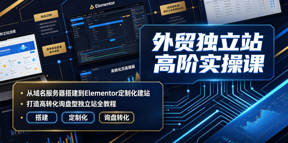 外贸独立站高阶实操课｜从域名服务器搭建到Elementor定制化建站，打造高转化询盘型独立站全教程-搞钱利器