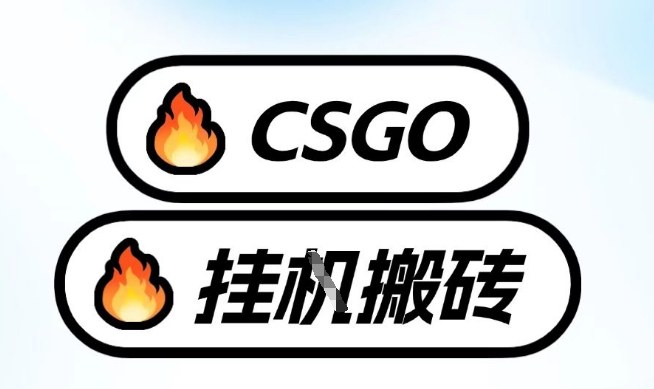 真全网独家CSGO挂G，最新玩法,单日捡漏1K+，不用电脑，不用打游戏【揭秘】-搞钱利器