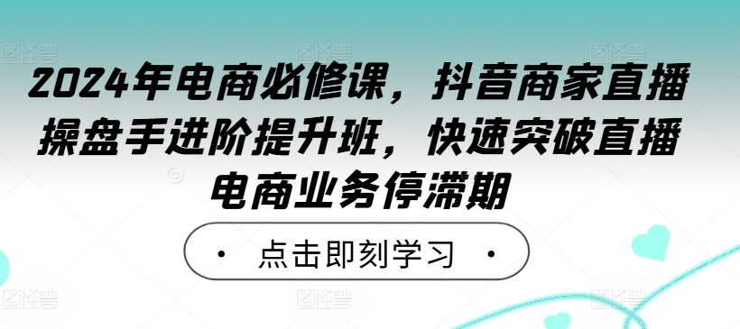 2024年电商必修课，抖音商家直播操盘手进阶提升班，快速突破直播电商业务停滞期-搞钱利器