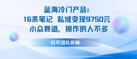 蓝海项目：16条笔记私域变现9750米小众赛道操作的人不多-搞钱利器