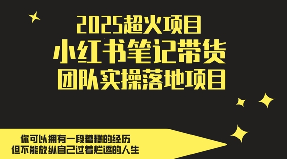 2025超火项目，副业最佳选择，小红书笔记带货团队实操落地项目，，轻松日入5张-搞钱利器