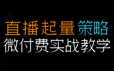 半野老师·直播带货起量与微付费必学课视频号(更新2026)-搞钱利器