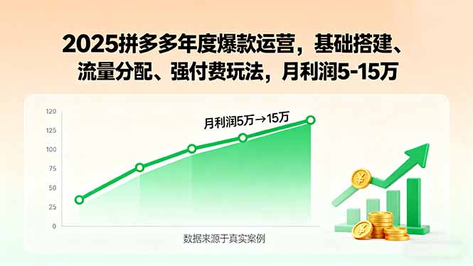 2025拼多多年度爆款运营，基础搭建、流量分配、强付费玩法，月利润5-15万-搞钱利器