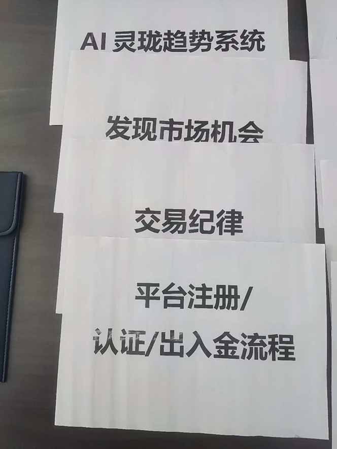 图片[3]-海外美金AI掘金项目，200U可入门槛，一天一单即可，每天1000-2000很轻松！-搞钱利器