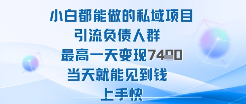 2025年小白都能做的私域项目引流负债人群最高一天变现1k+高变现难度低当天就能见到钱上手快-搞钱利器