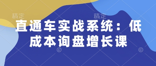 直通车实战系统：低成本询盘增长课，让个人通过技能实现升职加薪，让企业低成本获客，订单源源不断-搞钱利器