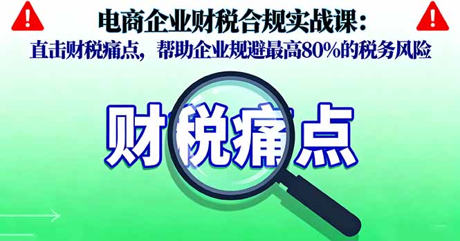 电商企业财税合规实战课，直击财税痛点，帮助企业规避最高80%的税务风险-搞钱利器