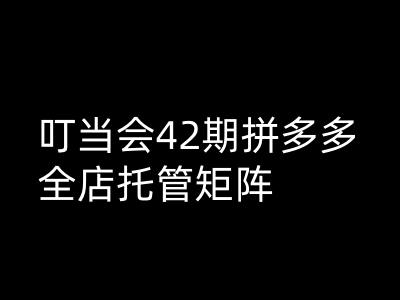 叮当会拼多多打爆班原创高阶技术第42期，拼多多全店托管矩阵-搞钱利器