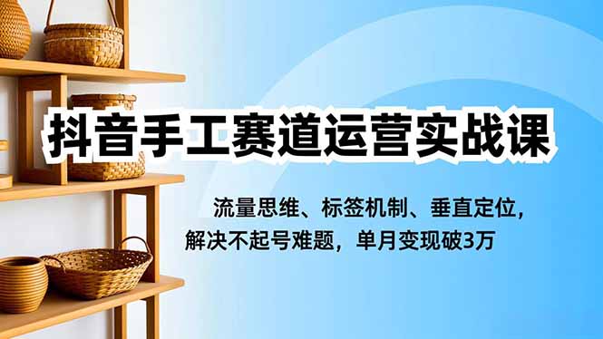 抖音手工赛道运营实战课,流量思维、标签机制、垂直定位,解决不起号难题,单月变现破3万-搞钱利器