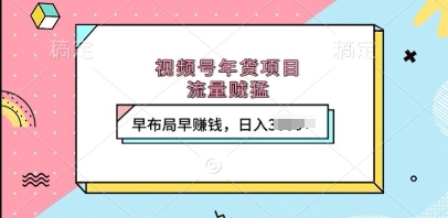 视频号年货项目，流量贼猛，早布局早挣钱，日入上k【揭秘】-搞钱利器