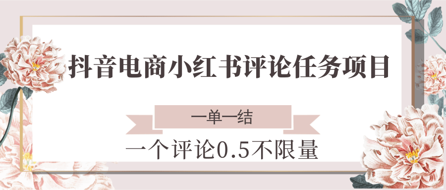 抖音电商小红书评论任务项目，一个评论0.5，一单一结 不限量-搞钱利器