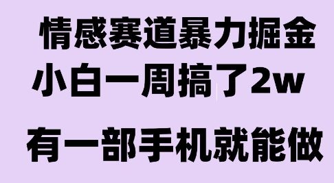 情感暴力掘金项目，新人操作一周挣了2W，长期稳定小白可做【揭秘】-搞钱利器